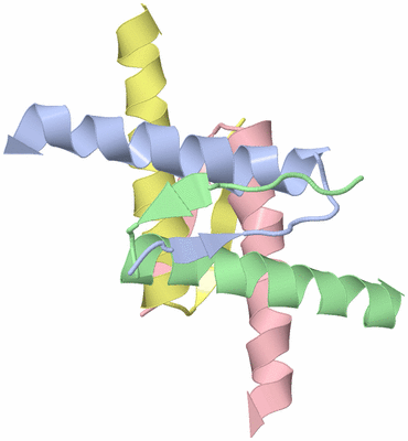 Image NMR Structure - model 1