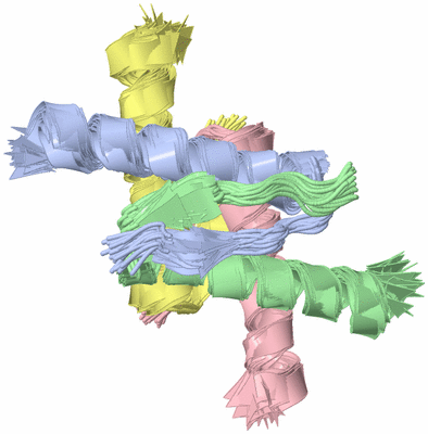 Image NMR Structure - all models