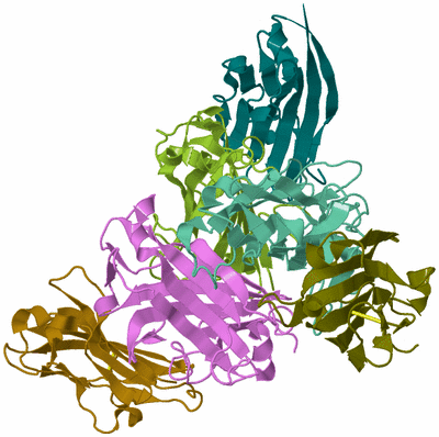 Image Biological Unit 3