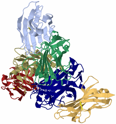 Image Biological Unit 4