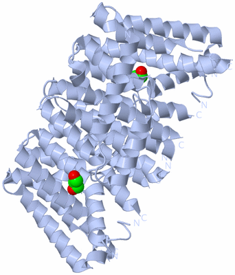 Image Biological Unit 1