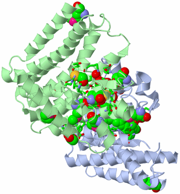 Image Asym./Biol. Unit - sites