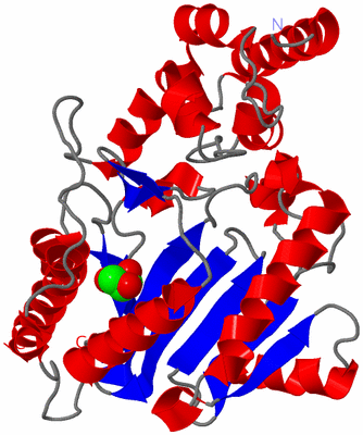 Image Asym./Biol. Unit