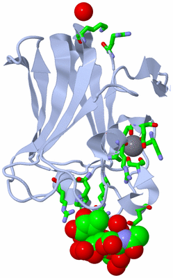 Image Biol. Unit 1 - sites