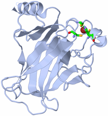 Image Biol. Unit 1 - sites