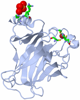 Image Biol. Unit 1 - sites