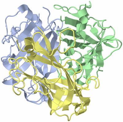 Image Biological Unit 1