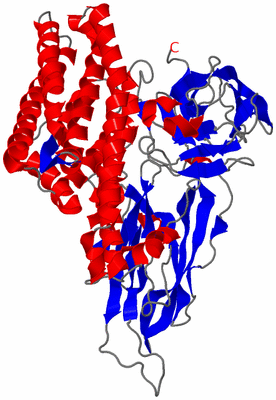 Image Theoretical Model