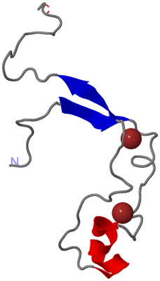 Image NMR Structure - model 1