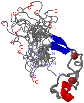 Image NMR Structure - all models