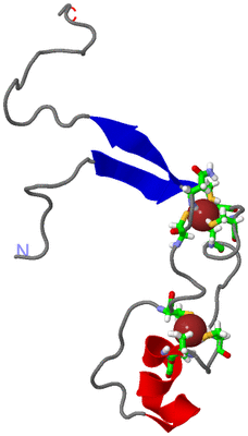 Image NMR Structure - model 1, sites