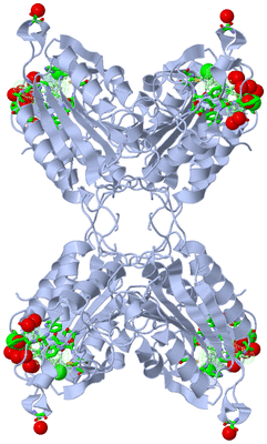 Image Biol. Unit 1 - sites