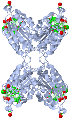 Image Biol. Unit 1 - sites