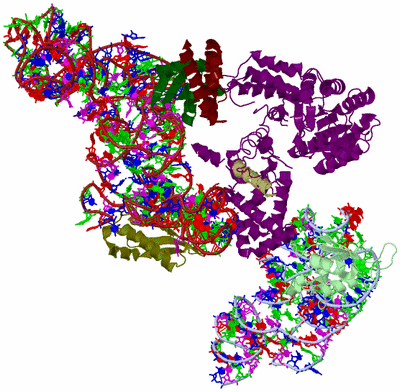 Image Asym./Biol. Unit