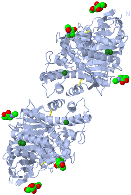 Image Biological Unit 1