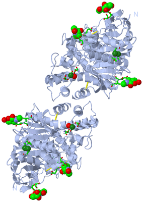 Image Biol. Unit 1 - sites