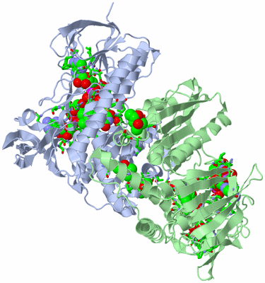 Image Biol. Unit 1 - sites