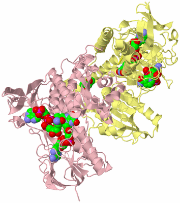 Image Biological Unit 2