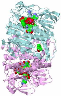 Image Biological Unit 3