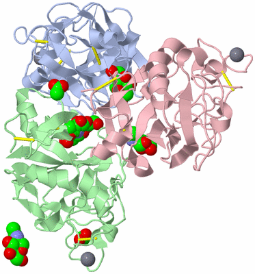 Image Biological Unit 1