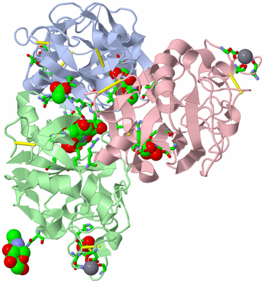 Image Biol. Unit 1 - sites