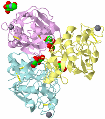 Image Biological Unit 2