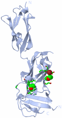 Image Biol. Unit 1 - sites