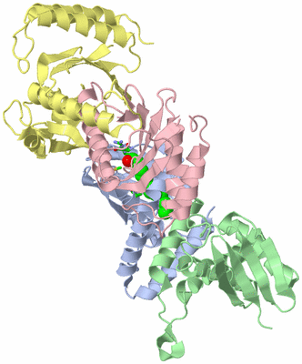 Image Asym./Biol. Unit - sites