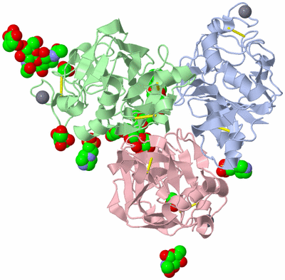 Image Biological Unit 1