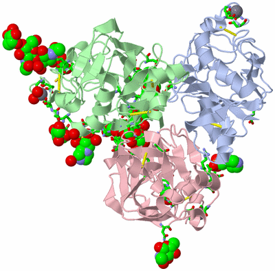 Image Biol. Unit 1 - sites