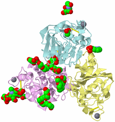 Image Biological Unit 2