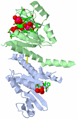 Image Biol. Unit 1 - sites