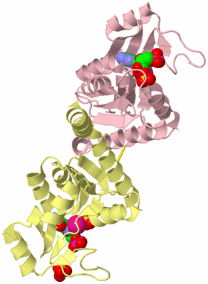 Image Biological Unit 2