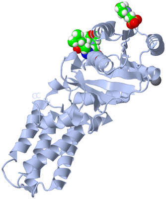 Image Biological Unit 1