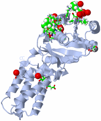 Image Biol. Unit 1 - sites