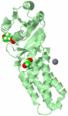 Image Biological Unit 2