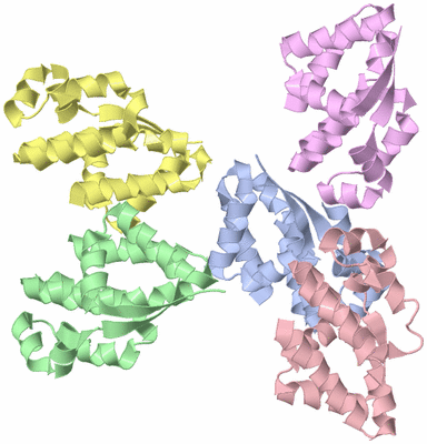 Image Asymmetric Unit