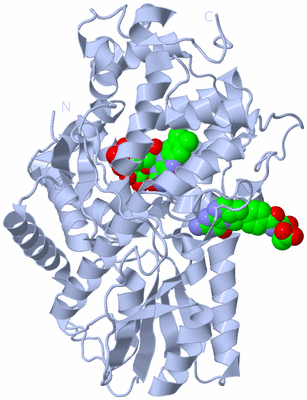 Image Biological Unit 1