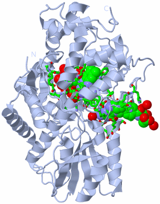 Image Biol. Unit 1 - sites