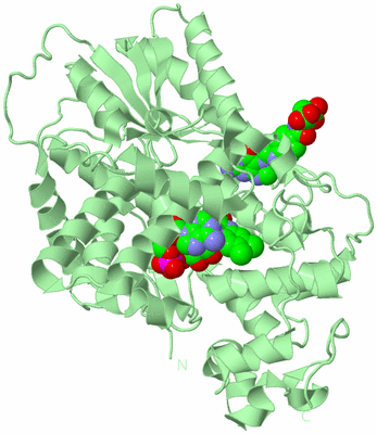 Image Biological Unit 2