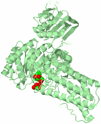 Image Biological Unit 2