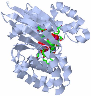 Image Biol. Unit 1 - sites