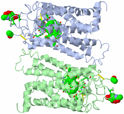 Image Asym./Biol. Unit - sites