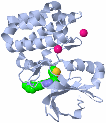 Image Biological Unit 1