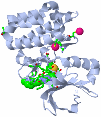 Image Biol. Unit 1 - sites