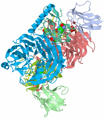 Image Asym./Biol. Unit