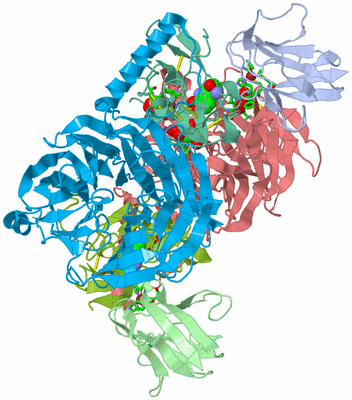 Image Asym./Biol. Unit - sites