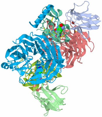 Image Asym./Biol. Unit