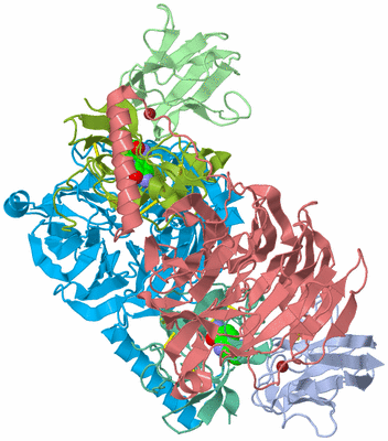 Image Biological Unit 1