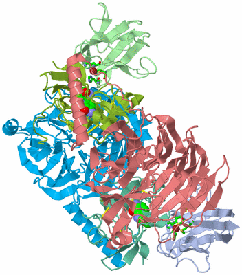 Image Biol. Unit 1 - sites